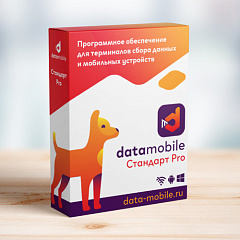 ПО DataMobile, версия Стандарт Pro в Челябинске