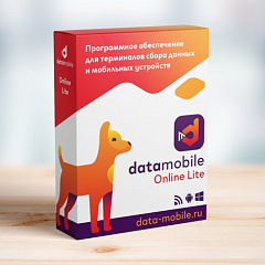 ПО DataMobile, версия Online Lite в Челябинске
